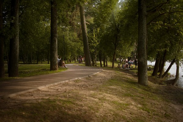 The Definitive Handbook for Safe High-Intensity Interval Training (HIIT) in the UK: Essential Tips and Proven Techniques for Adults